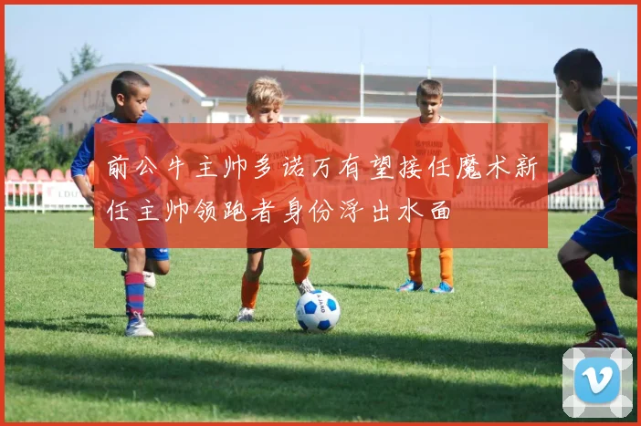 前公牛主帅多诺万有望接任魔术新任主帅领跑者身份浮出水面